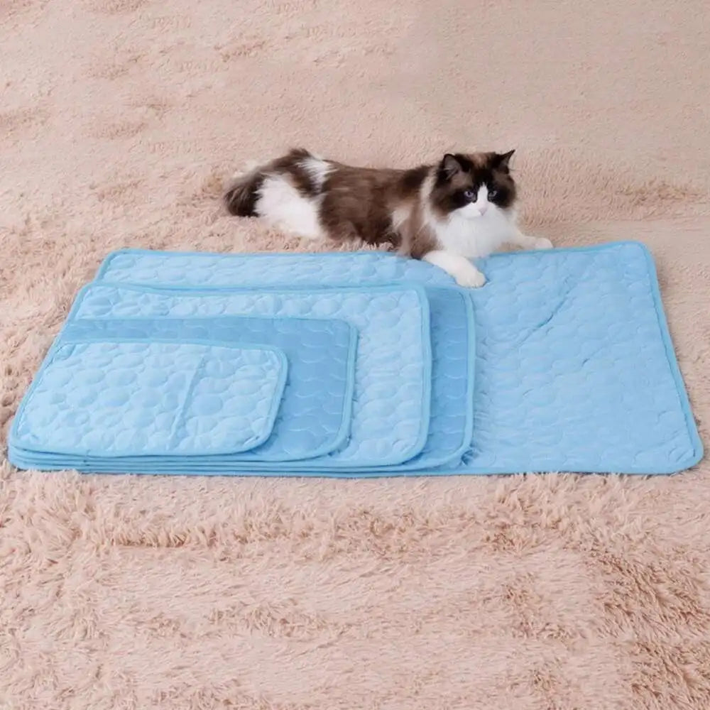CoolPaws Mat